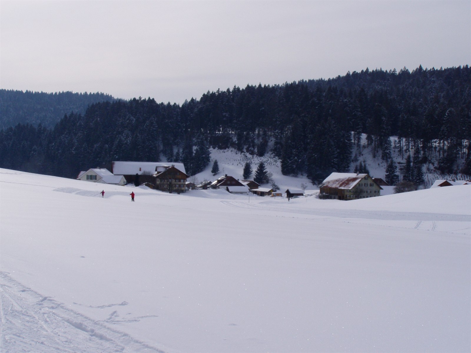 Winterliche Loipe im Westallgäu