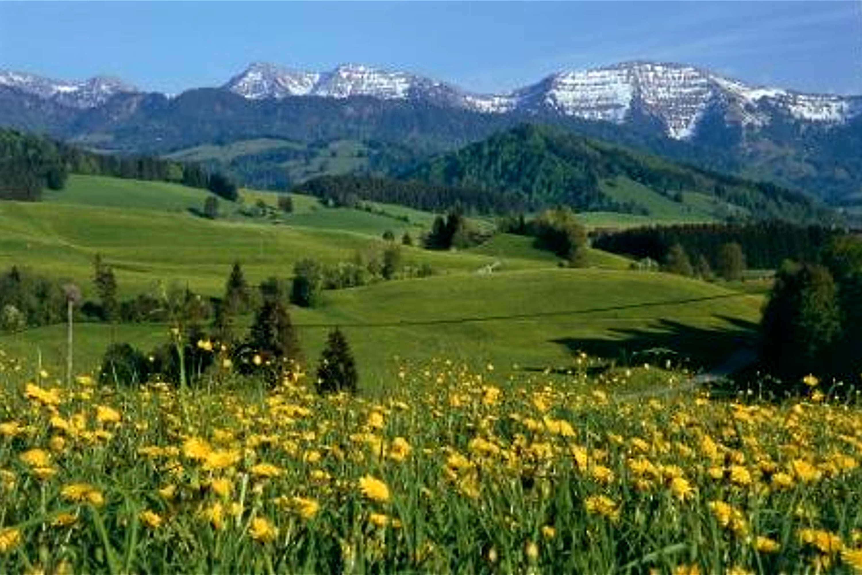 Blick auf die Nagelfluhkette im Allgaeu