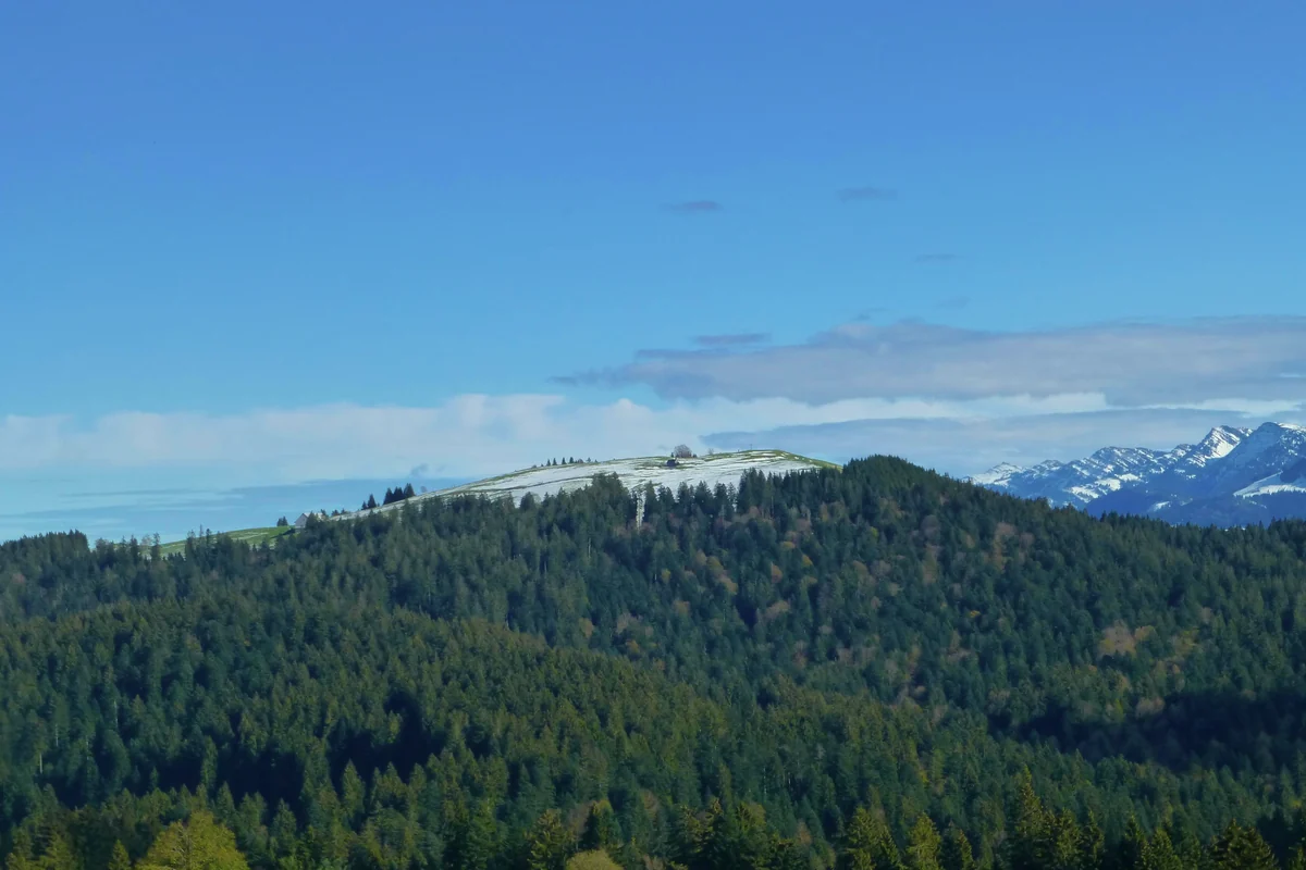 Blick von Westen auf den Hirschberg bei Langen mit bewaldeten Hängen und leicht verschneitem Gipfel