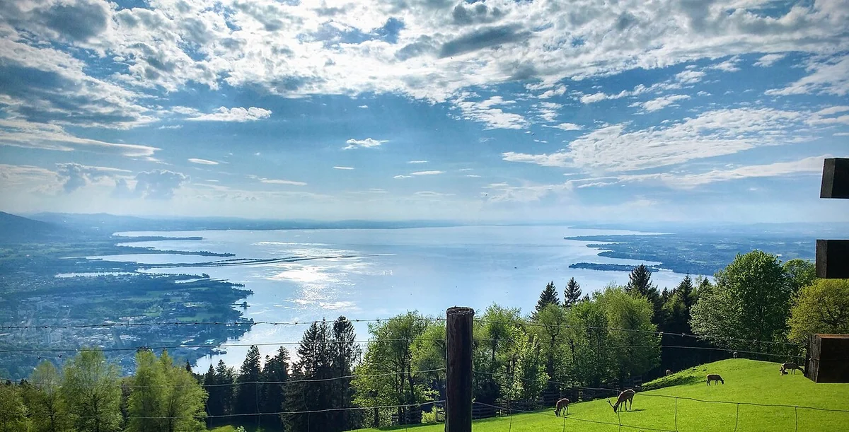 Weitblick vom Pfänder über grüne Hänge und den Bodensee
