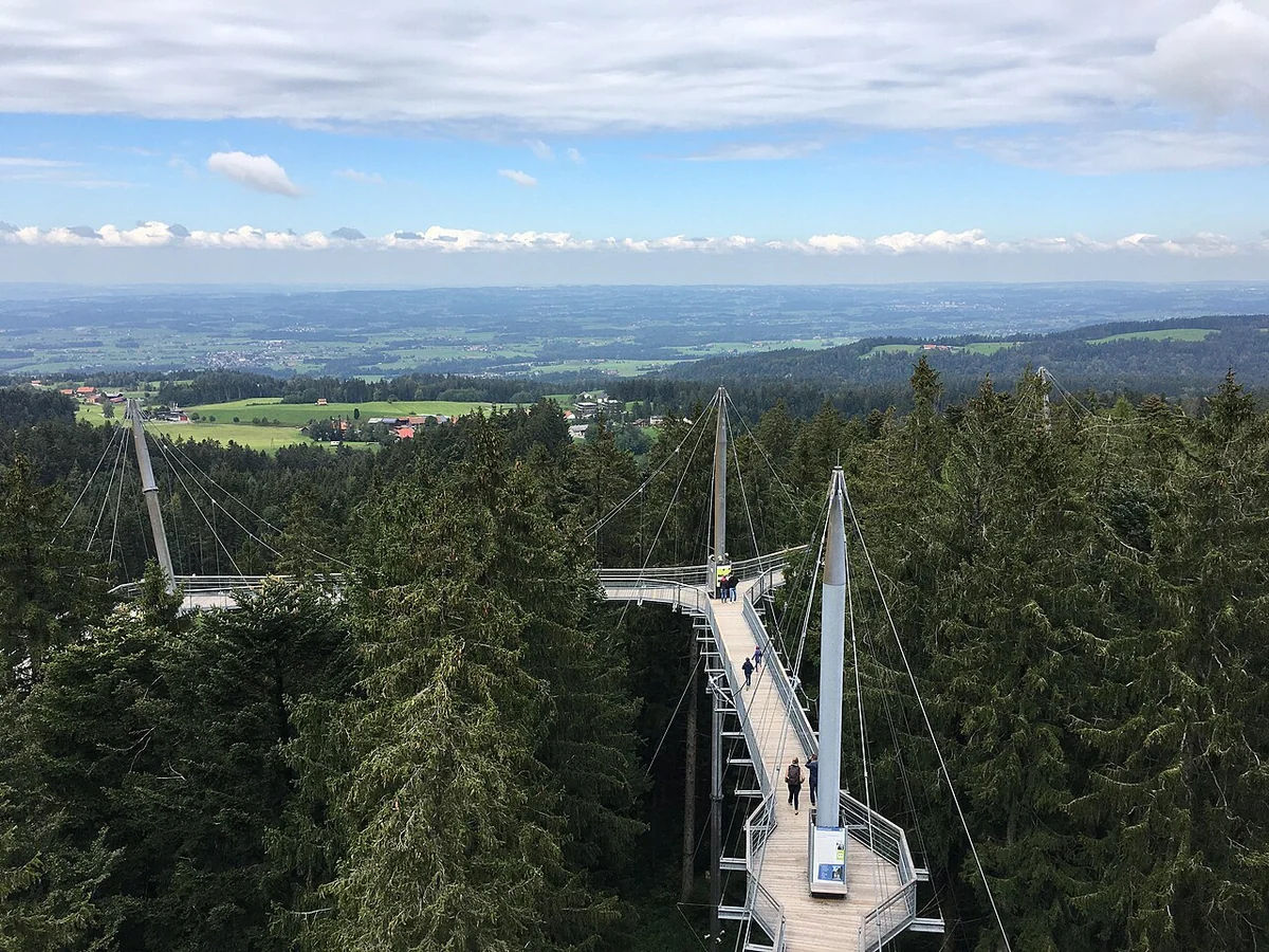 Baumwipfelpfad Skywalk über dem Wald in Scheidegg mit Blick in die Landschaft